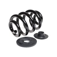 Suspension Spring rear axle coil spring TRISCAN for e.g....