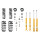 Suspension Kit Springs/Shock Absorbers Gas Pressure BILSTEIN for AUDI A4