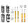 Suspension Kit Springs/Shock Absorbers Gas Pressure BILSTEIN for AUDI A6