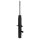 Shock Absorber KYB for e.g. HONDA Accord V