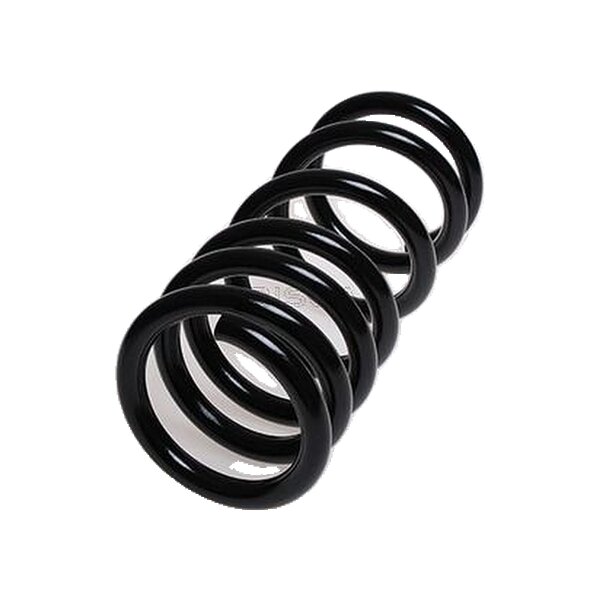 Fahrwerksfeder Hinterachse Schraubenfeder TRISCAN für u.a. MITSUBISHI PAJERO