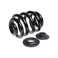 Suspension Spring rear coil spring TRISCAN for e.g. VW...