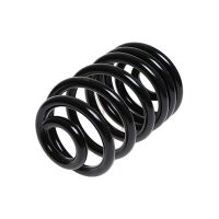 Suspension Spring rear coil spring TRISCAN for NISSAN...