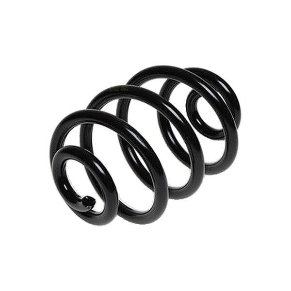 Suspension Spring rear coil spring TRISCAN IAM-Expertise for BMW 3 Series