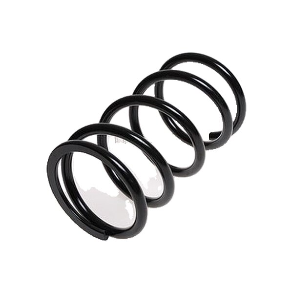Suspension Spring Rear Axle Coil Spring TRISCAN for TOYOTA RAV