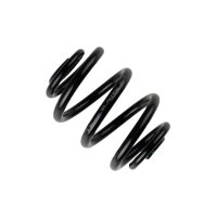 Suspension Spring Rear Axle BILSTEIN for e.g. VW Golf IV