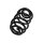 Rear Suspension Spring Coil Spring TRISCAN for OPEL ZAFIRA and others