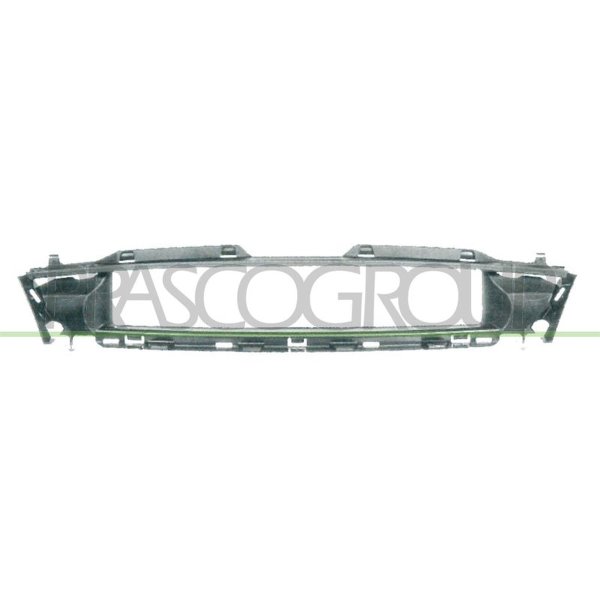 Frame radiator grille PRASCO for FORD FIESTA IV