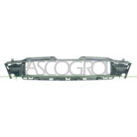 Frame radiator grille PRASCO for FORD FIESTA IV