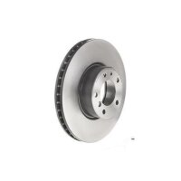 2 Bremsscheiben innenbelüftet Ø 324 mm 30 mm...