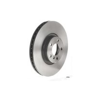 2 Bremsscheiben innenbelüftet Ø 348 mm 30 mm...