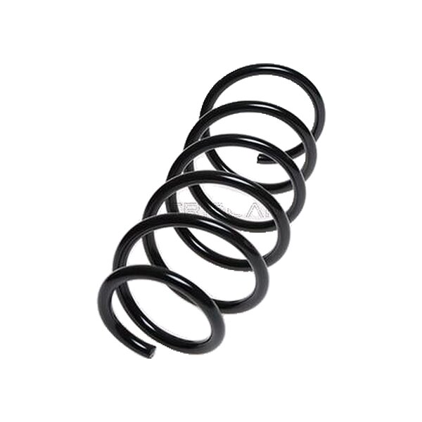 Suspension Spring Front Axle Coil Spring TRISCAN for MITSUBISHI COLT