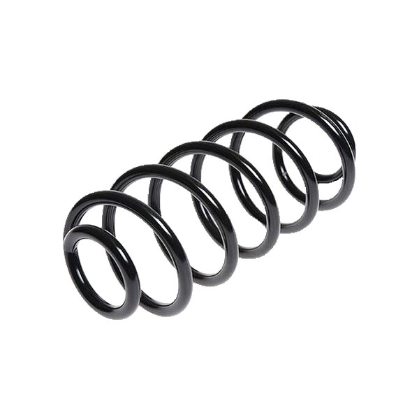 Suspension Spring Rear Axle Coil Spring TRISCAN for FIAT BRAVO