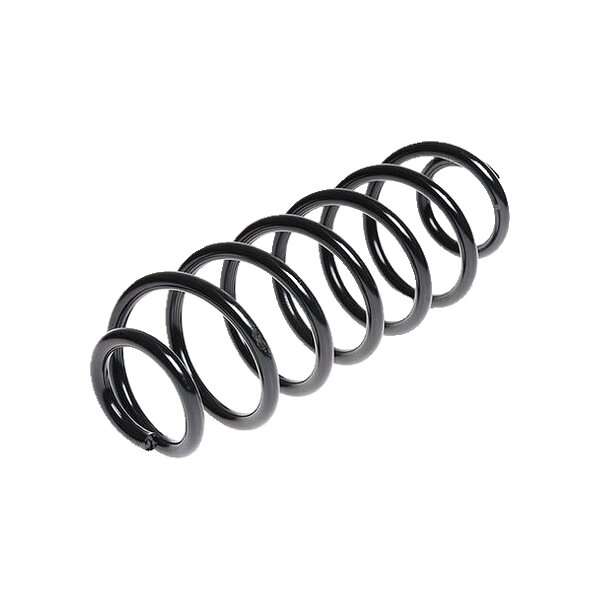 Suspension Spring Rear Axle Coil Spring TRISCAN for FORD FIESTA and others