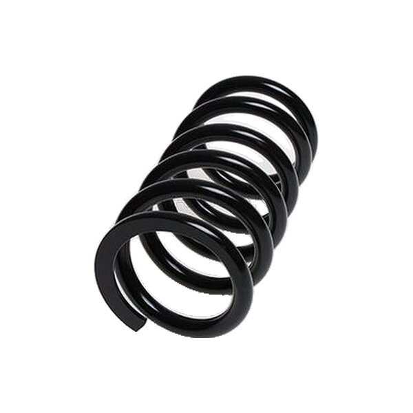 Suspension Spring Rear Axle Coil Spring TRISCAN for MITSUBISHI GRANDIS