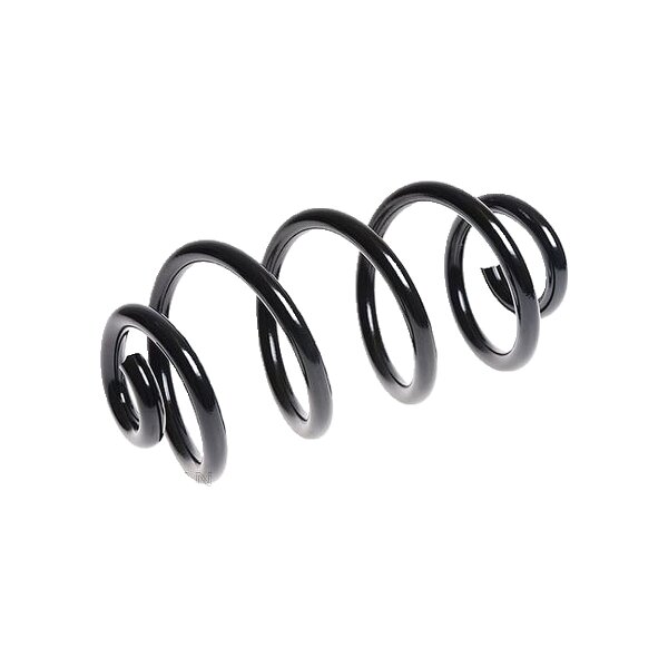 Suspension Spring Rear Axle Coil Spring TRISCAN for NISSAN QASHQAI