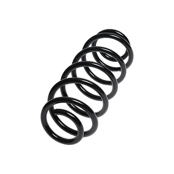 Suspension Spring Rear Axle Coil Spring TRISCAN for FORD FUSION and others