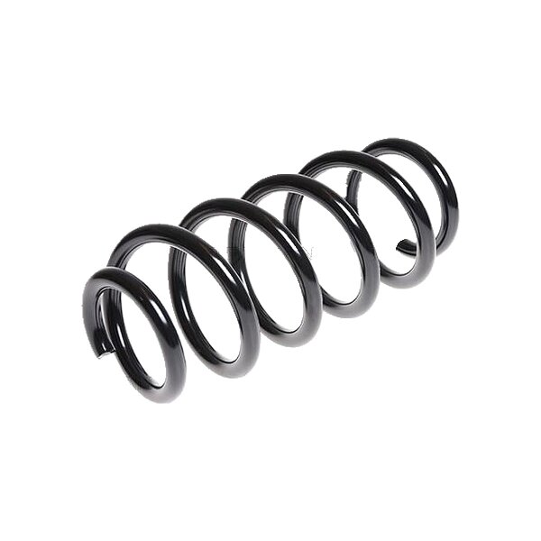 Suspension Spring Rear Axle Coil Spring TRISCAN for TOYOTA RAV
