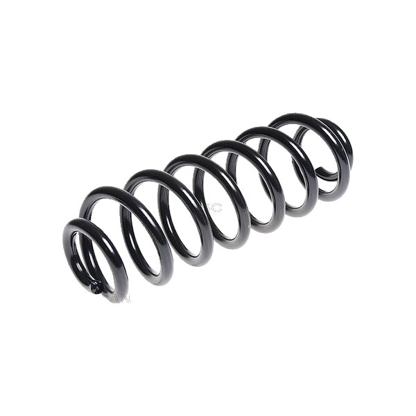 Suspension Spring rear axle coil spring TRISCAN for e.g. VW TOURAN