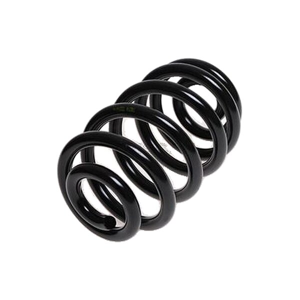 Suspension Spring rear coil spring TRISCAN IAM-Expertise suitable for BMW X3