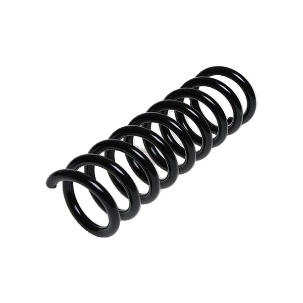 Suspension Spring Rear Axle Coil Spring TRISCAN for MERCEDES-BENZ C-CLASS