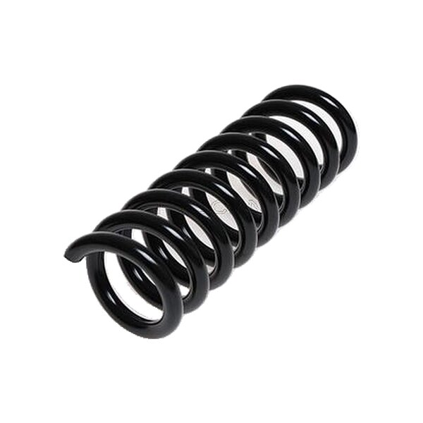 Suspension Spring Rear Axle Coil Spring TRISCAN for MERCEDES-BENZ C-CLASS