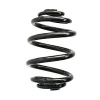 Suspension spring SPIDAN for BMW Z4 Roadster