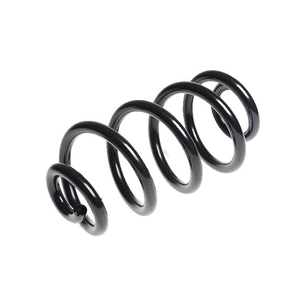 Suspension Spring Rear Axle Coil Spring TRISCAN for NISSAN QASHQAI