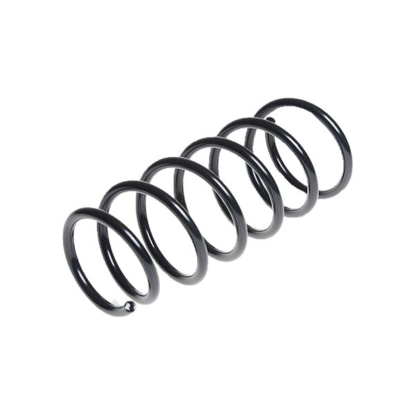 Suspension Spring Rear Axle Coil Spring TRISCAN for HYUNDAI i10