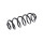 Suspension Spring Rear Axle Coil Spring TRISCAN for AUDI A6 and others