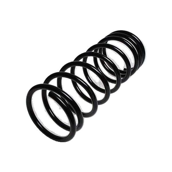 Suspension Spring Rear Axle Coil Spring TRISCAN for MERCEDES-BENZ G-CLASS