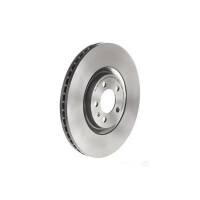 2 brake discs ventilated Ø 310 mm 25 mm coated...