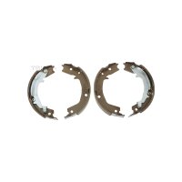 Brake Shoe Set Parking Brake 40 mm TRISCAN IAM-Expertise...