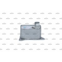 Oil cooler engine oil NRF for AUDI A1