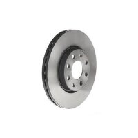 2 Bremsscheiben innenbelüftet Ø 257 mm 22 mm...