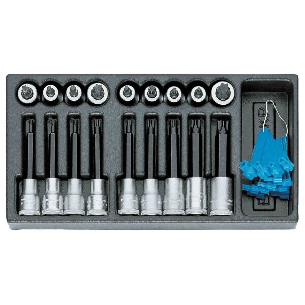 Satz Schraubendrehereinsätze 1/2 in 1/3 ES-Modul GEDORE 1500 ES-ITX 19 LKP