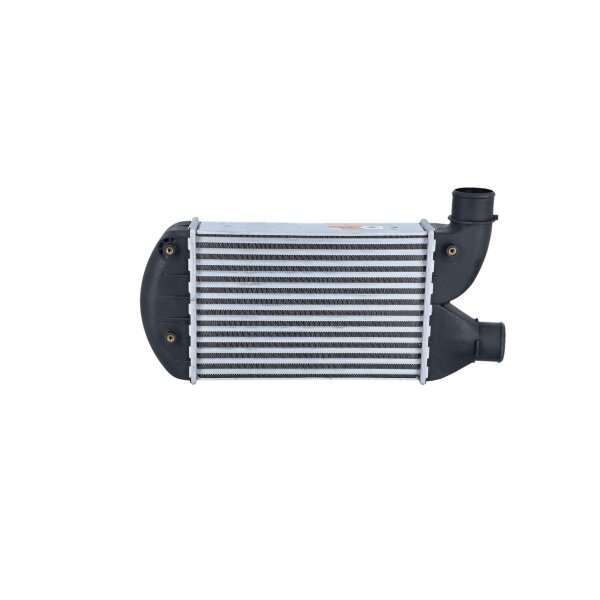 Ladeluftkühler 295 mm - 202 mm NRF passend für u.a. FIAT BRAVA