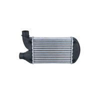 Ladeluftkühler 295 mm - 202 mm NRF passend für u.a. FIAT BRAVA