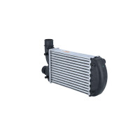 Ladeluftkühler 295 mm - 202 mm NRF passend für u.a. FIAT BRAVA