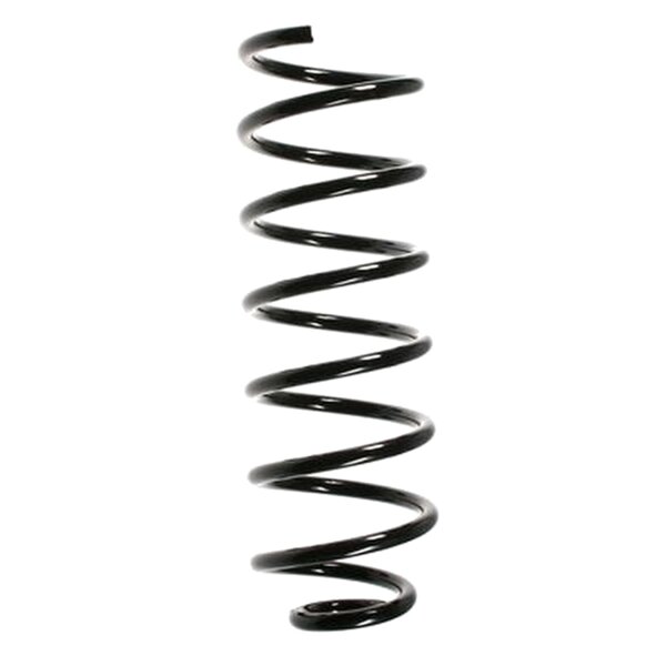 SPIDAN 49344 Fahrwerksfeder hinten