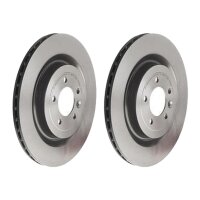 2 Bremsscheiben belüftet Ø 365 mm 25 mm...