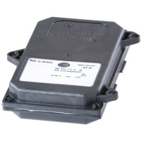 Steuergerät Beleuchtung 12 V HELLA Licht-Expertise...