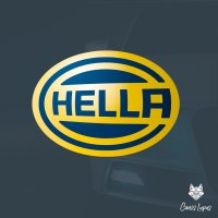 Bremsbackensatz hinten HELLA PAGID für RENAULT CLIO II