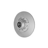 Bremsscheibe hinten HELLA für RENAULT 19 II Chamade