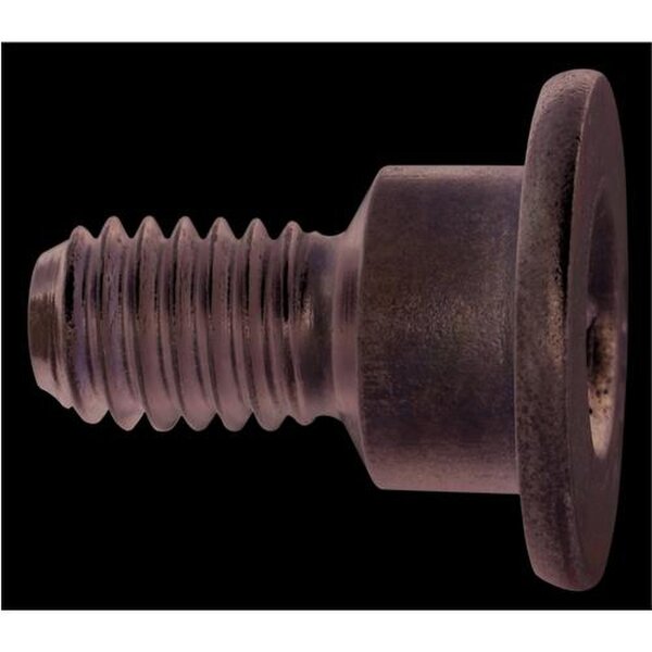 Brake Disc Screw hexagon socket steel M6x1 steel HELLA for e.g. MB E-KLASSE