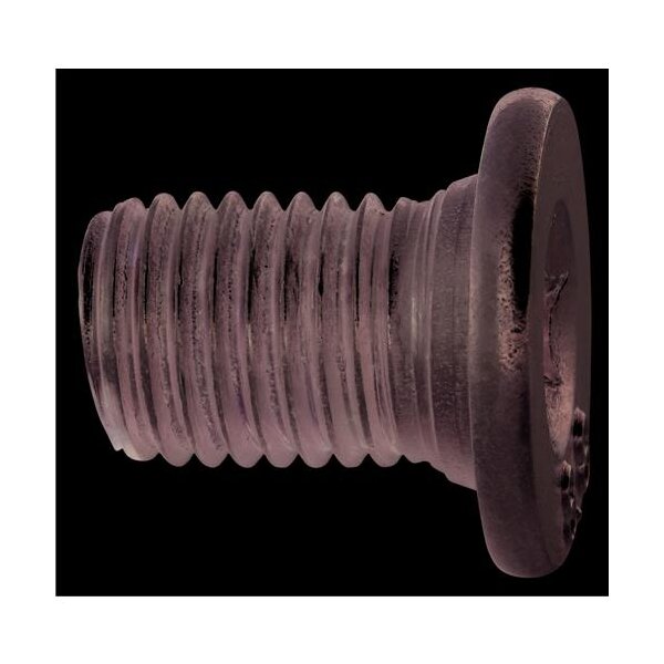 Brake Disc Screw inner Torx steel M8x1 steel HELLA for e.g. MB E-KLASSE