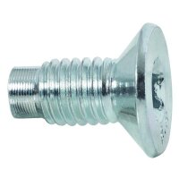 Brake Disc Screw inner Torx steel M8X1.25 steel HELLA for...