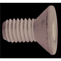 Brake Disc Screw hexagon socket steel M8X1.25 HELLA for...