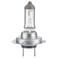 Bulb 12 V 65 W H18 Halogen PY26d-1 crystal clear HELLA...