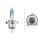 Glühlampe Fernscheinwerfer Halogen HELLA für AUDI 100 C3 Stufenheck (443/ 444)